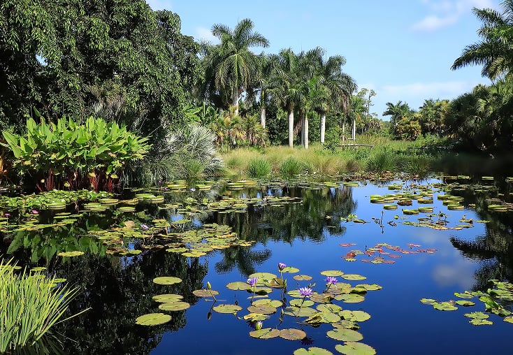 gettyimages-1439500376-2048x2048 1